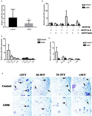 The miRNA-29b Is Downregulated in Placenta During Gestational Diabetes Mellitus and May Alter Placenta Development by Regulating Trophoblast Migration and Invasion Through a HIF3A-Dependent Mechanism